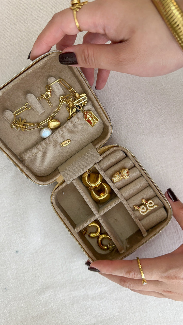 Leopard Travel Jewelry Case