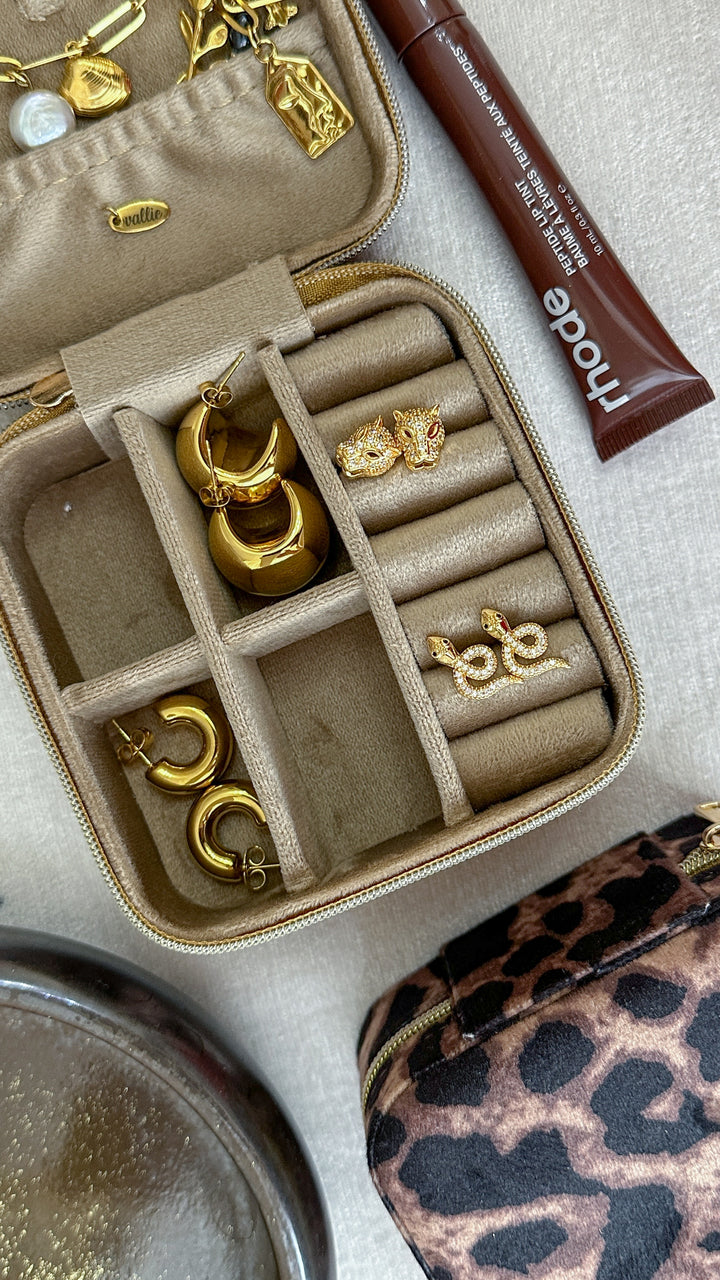 Leopard Travel Jewelry Case