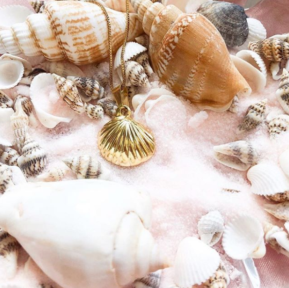 Seashell Necklace